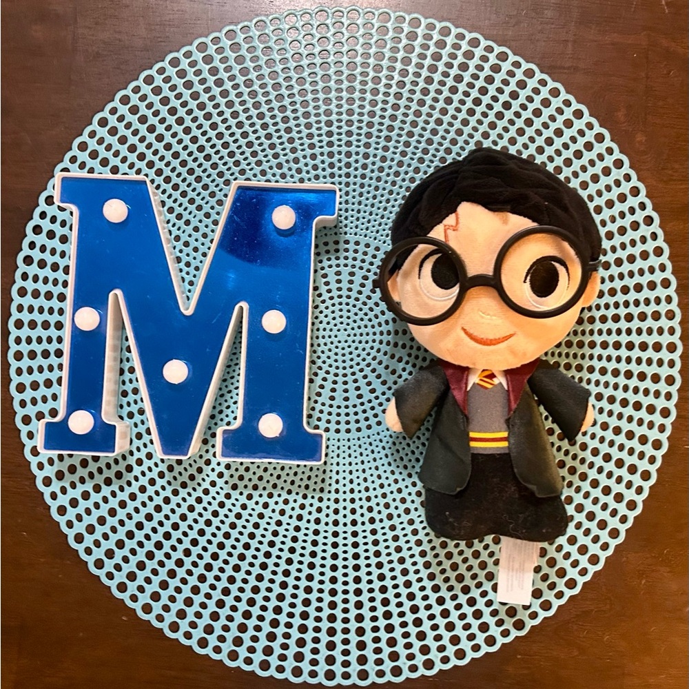 Funko HARRY POTTER 2019 Harry w/ Plastic Glasses Super Cute Plush 8" No Tag